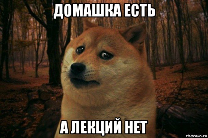 домашка есть а лекций нет, Мем SAD DOGE