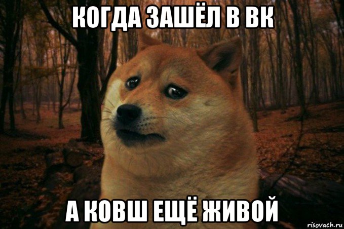 когда зашёл в вк а ковш ещё живой, Мем SAD DOGE