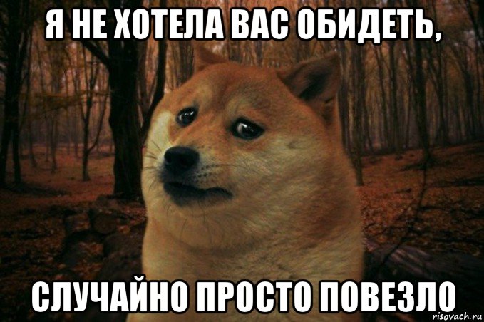 я не хотела вас обидеть, случайно просто повезло, Мем SAD DOGE