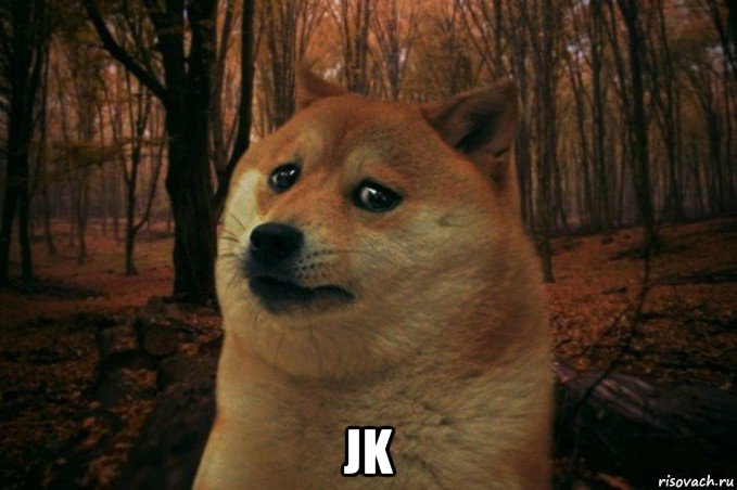  jk, Мем SAD DOGE