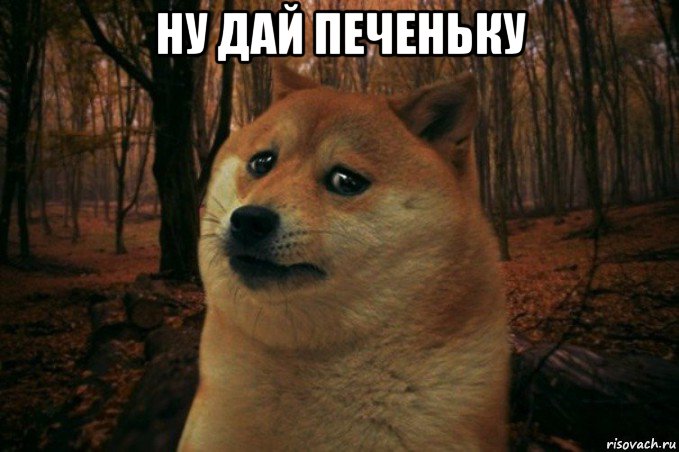 ну дай печеньку , Мем SAD DOGE