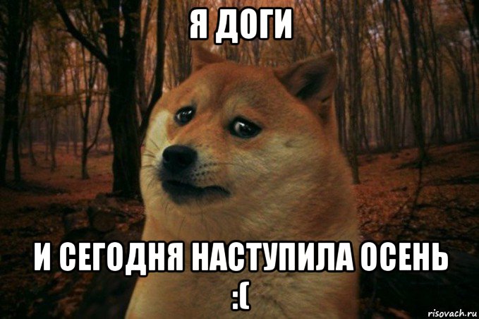 я доги и сегодня наступила осень :(, Мем SAD DOGE