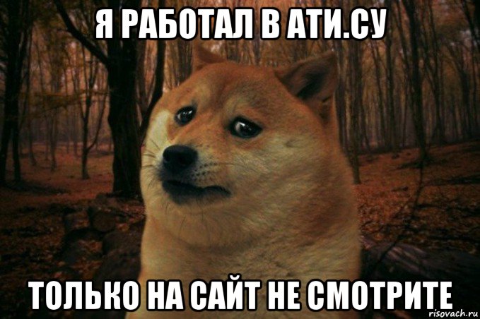 я работал в ати.су только на сайт не смотрите, Мем SAD DOGE