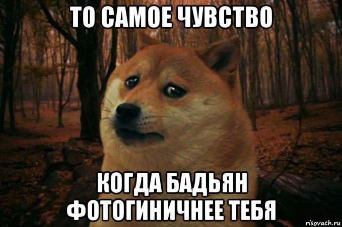 то самое чувство когда бадьян фотогиничнее тебя, Мем SAD DOGE