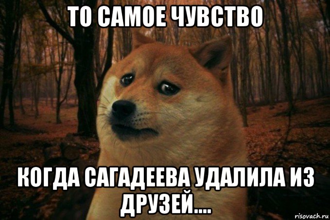 то самое чувство когда сагадеева удалила из друзей...., Мем SAD DOGE