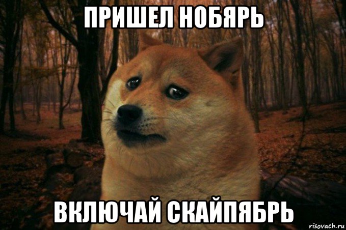 пришел нобярь включай скайпябрь, Мем SAD DOGE