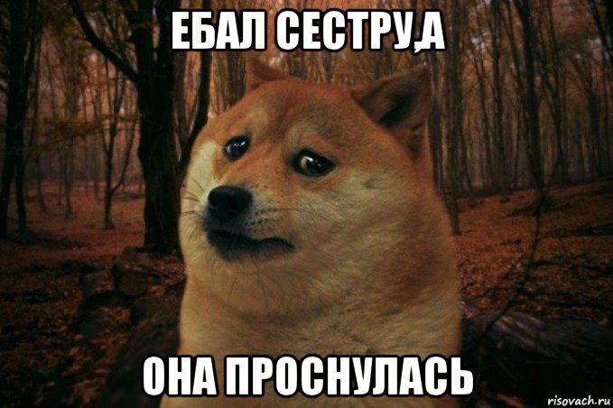 ебал сестру,а она проснулась, Мем SAD DOGE