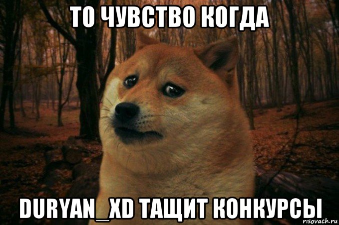 то чувство когда duryan_xd тащит конкурсы, Мем SAD DOGE