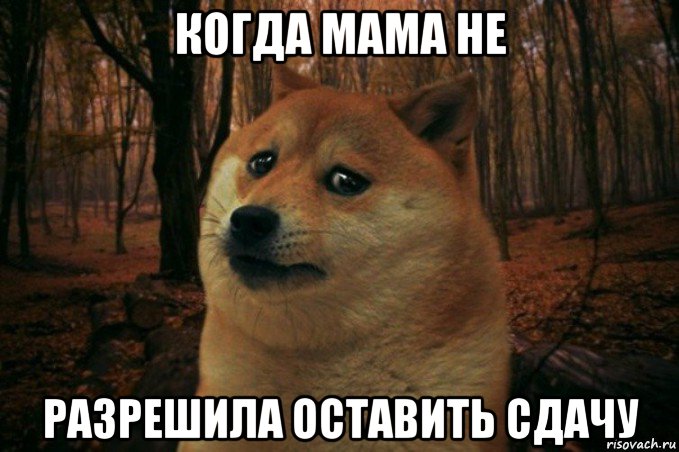 когда мама не разрешила оставить сдачу, Мем SAD DOGE