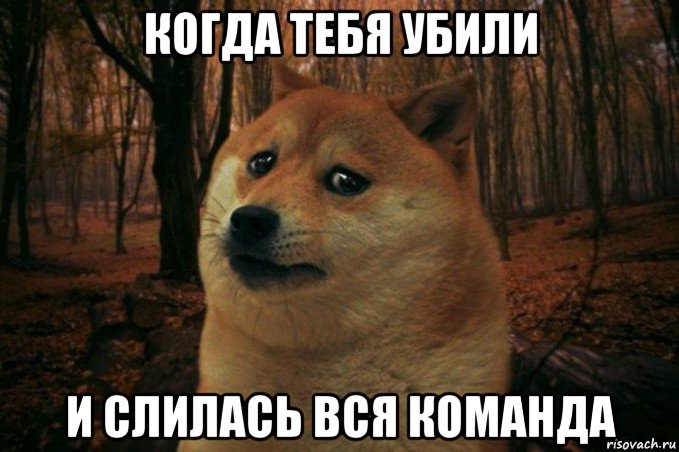 когда тебя убили и слилась вся команда, Мем SAD DOGE