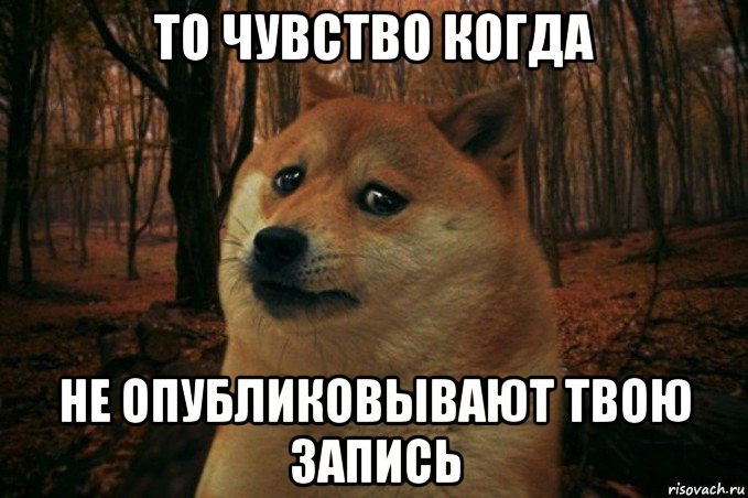 то чувство когда не опубликовывают твою запись, Мем SAD DOGE