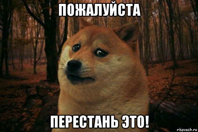 пожалуйста перестань это!, Мем SAD DOGE