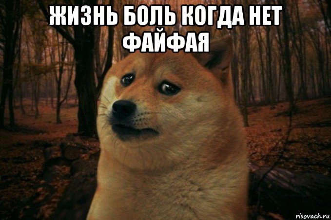 жизнь боль когда нет файфая , Мем SAD DOGE