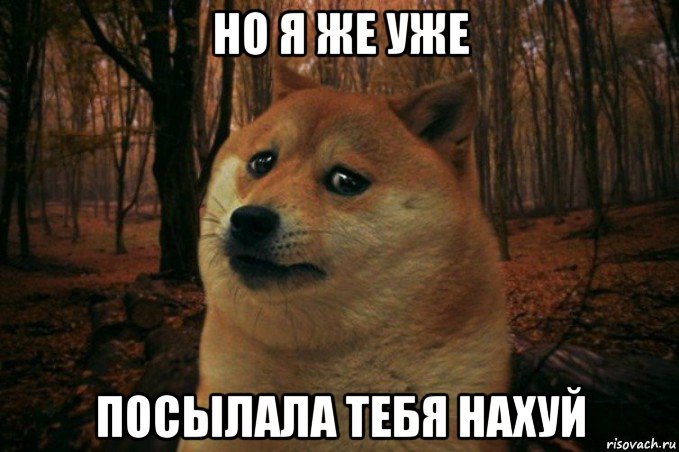 но я же уже посылала тебя нахуй, Мем SAD DOGE