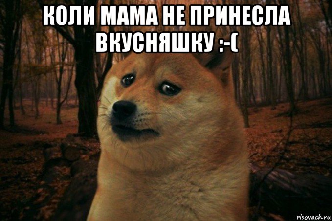 коли мама не принесла вкусняшку :-( , Мем SAD DOGE