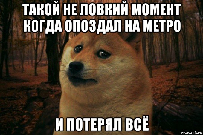 такой не ловкий момент когда опоздал на метро и потерял всё, Мем SAD DOGE