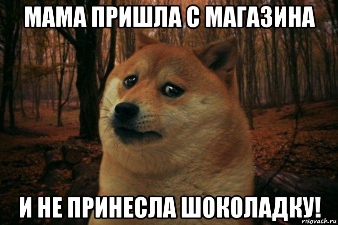 мама пришла с магазина и не принесла шоколадку!, Мем SAD DOGE