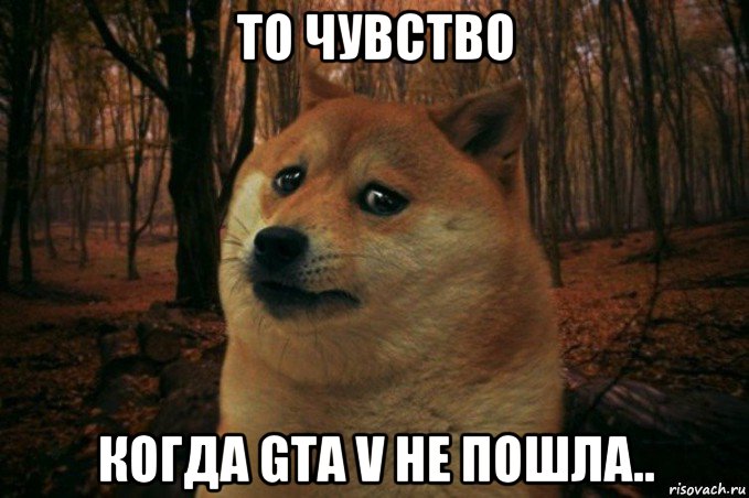 то чувство когда gta v не пошла.., Мем SAD DOGE