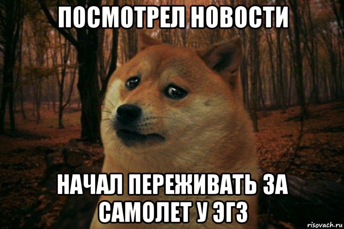 посмотрел новости начал переживать за самолет у эгз, Мем SAD DOGE