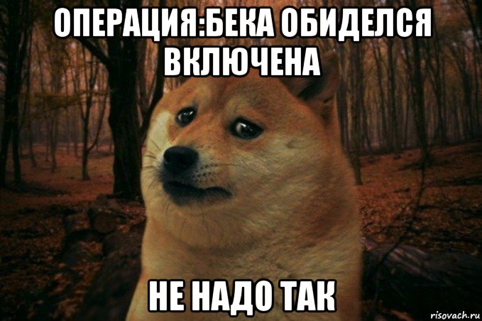 операция:бека обиделся включена не надо так, Мем SAD DOGE