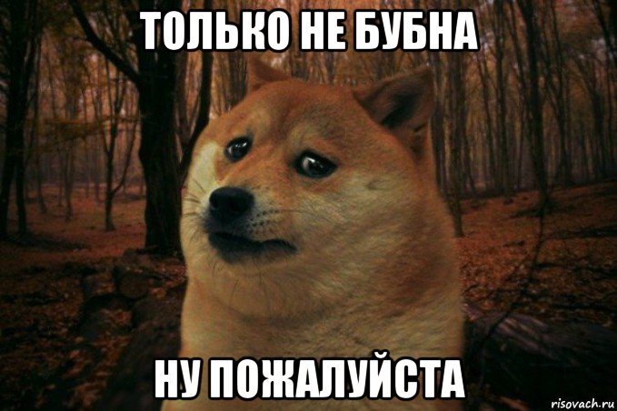 только не бубна ну пожалуйста, Мем SAD DOGE