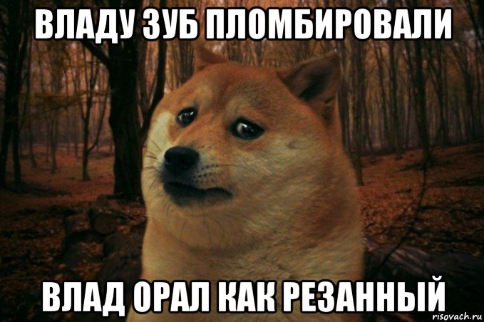 владу зуб пломбировали влад орал как резанный, Мем SAD DOGE