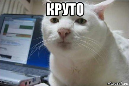 круто 