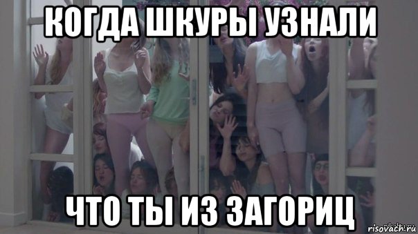 когда шкуры узнали что ты из загориц, Мем Шкуры узнали