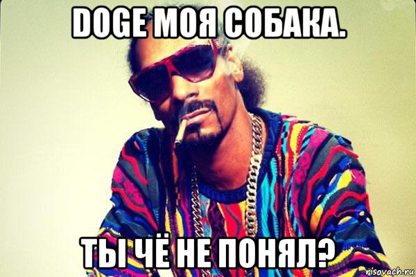 doge моя собака. ты чё не понял?