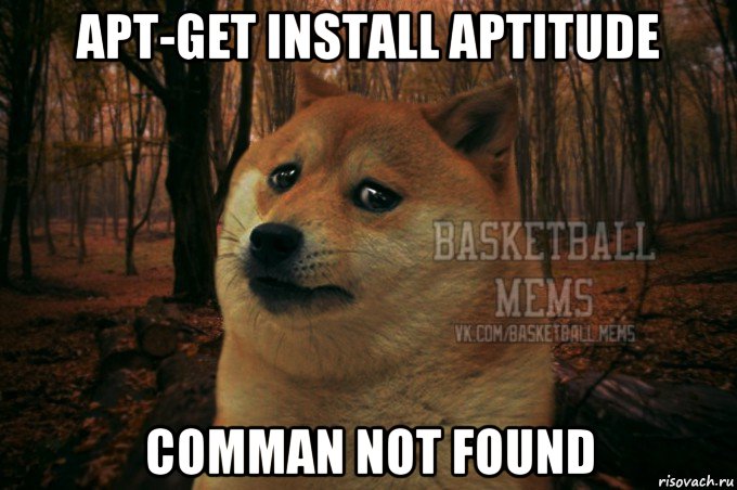 apt-get install aptitude comman not found, Мем Собака Basletball Mems
