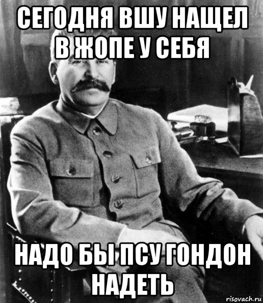 сегодня вшу нащел в жопе у себя надо бы псу гондон надеть, Мем  иосиф сталин