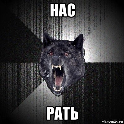 нас рать, Мем Сумасшедший волк