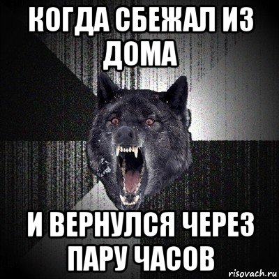 когда сбежал из дома и вернулся через пару часов, Мем Сумасшедший волк