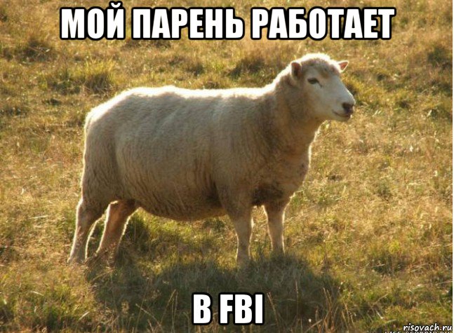 мой парень работает в fbi, Мем Типичная овца