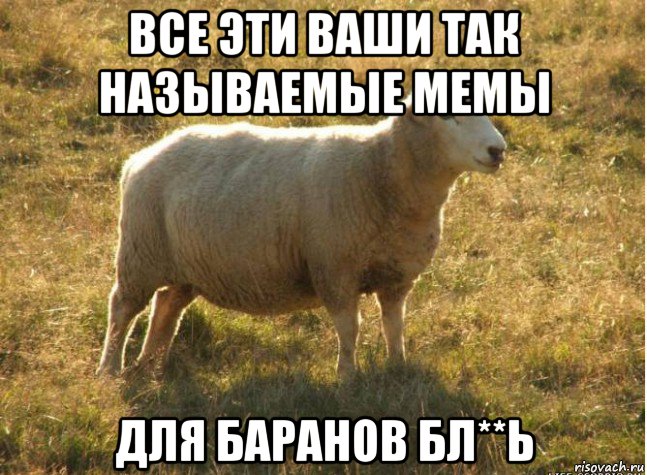 все эти ваши так называемые мемы для баранов бл**ь, Мем Типичная овца