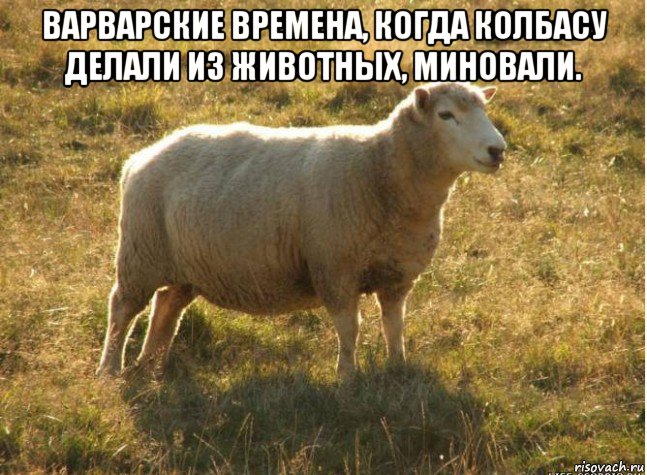 варварские времена, когда колбасу делали из животных, миновали. , Мем Типичная овца