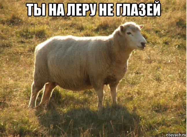 ты на леру не глазей , Мем Типичная овца