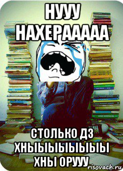 нууу нахерааааа столько дз хныыыыыыыы хны орууу, Мем Типовий десятикласник