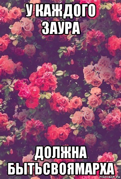 у каждого заура должна бытьсвоямарха