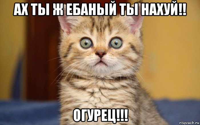 ах ты ж ебаный ты нахуй!! огурец!!!, Мем  удивление