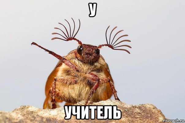 у учитель