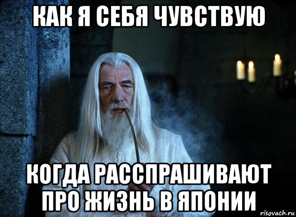 как я себя чувствую когда расспрашивают про жизнь в японии, Мем  Гендальф курит трубку