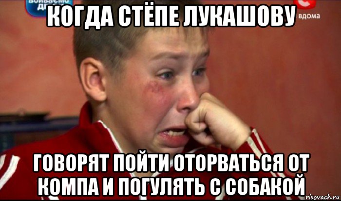 когда стёпе лукашову говорят пойти оторваться от компа и погулять с собакой, Мем  Сашок Фокин