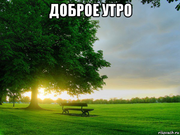 доброе утро , Мем утро