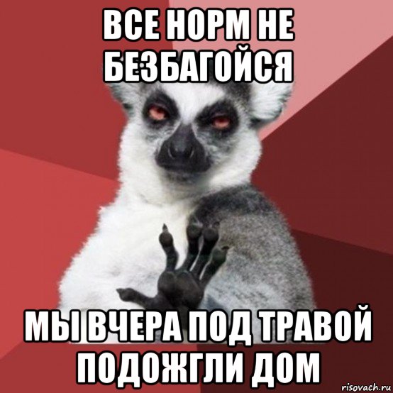 все норм не безбагойся мы вчера под травой подожгли дом, Мем Узбагойзя