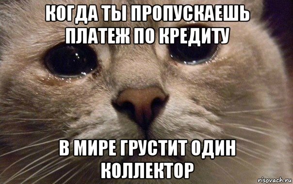 когда ты пропускаешь платеж по кредиту в мире грустит один коллектор, Мем   В мире грустит один котик