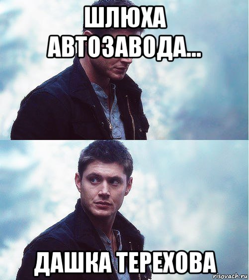 шлюха автозавода... дашка терехова, Мем винчестеры
