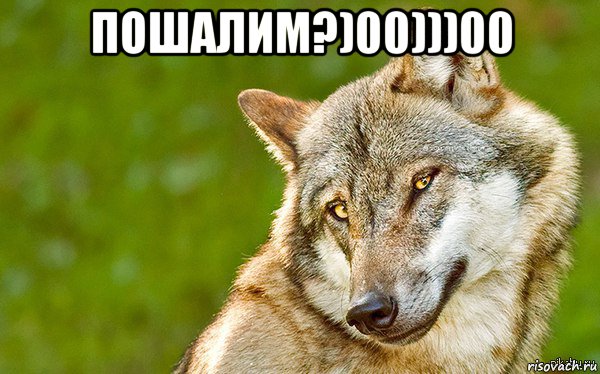 пошалим?)00)))00 , Мем   Volf