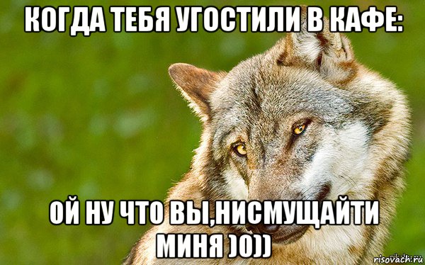 когда тебя угостили в кафе: ой ну что вы,нисмущайти миня )0)), Мем   Volf