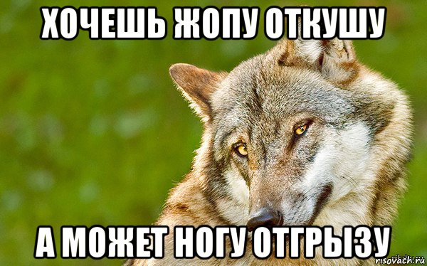 хочешь жопу откушу а может ногу отгрызу, Мем   Volf